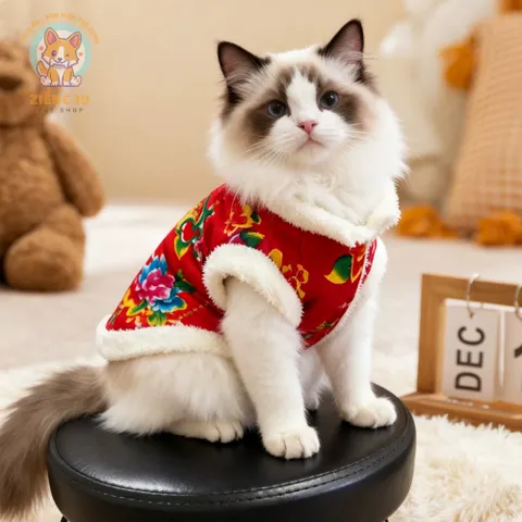 Áo Khoác Công Phượng (Tặng kẹp nơ) cho thú cưng - Áo, váy cho chó mèo, thú cưng - Ziềng iu Petshop