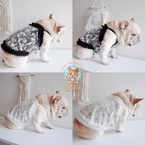 Váy ren hoa nhí sẹcxy (Tặng kẹp nơ) cho thú cưng - Áo, váy cho chó mèo, thú cưng - Ziềng iu Petshop
