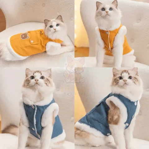 Áo vest gấu vàng xanh cho Pet, áo bò denim cho chó mèo - Áo cho chó mèo, thú cưng - Ziềng iu Petshop
