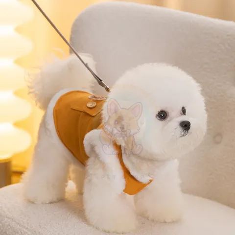 Áo vest gấu vàng xanh cho Pet, áo bò denim cho chó mèo - Áo cho chó mèo, thú cưng - Ziềng iu Petshop
