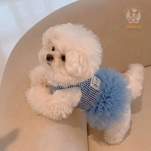 Váy Quý Cô Gingham (Tặng kẹp nơ) - Áo, váy cho chó mèo, thú cưng - Ziềng iu Petshop