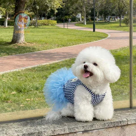 Váy Quý Cô Gingham (Tặng kẹp nơ) - Áo, váy cho chó mèo, thú cưng - Ziềng iu Petshop