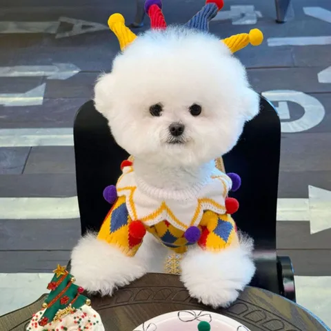 Áo Chú Hề cho thú cưng - Áo, váy cho chó mèo, thú cưng - Ziềng iu Petshop