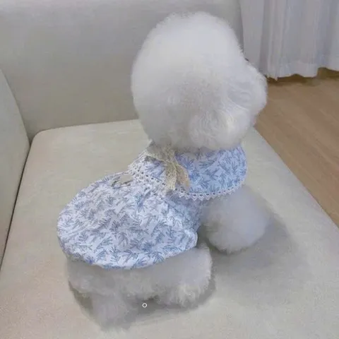 Váy xanh bồng bềnh (Tặng kẹp nơ) cho thú cưng - Áo, váy cho chó mèo, thú cưng - Ziềng iu Petshop