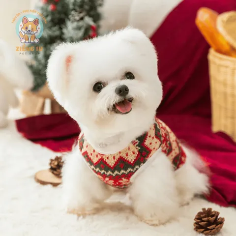 Áo Len Noel lót lông Christmas (Tặng kẹp nơ) cho thú cưng - Áo, váy cho chó mèo, thú cưng - Ziềng iu Petshop