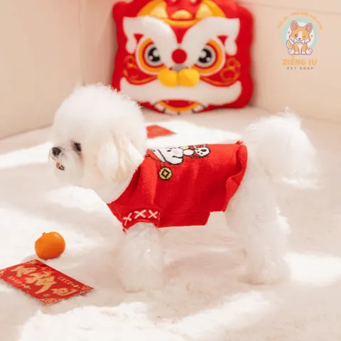 Áo Len Thần Tài Nhí (Tặng kẹp nơ) cho thú cưng - Áo, váy cho chó mèo, thú cưng - Ziềng iu Petshop