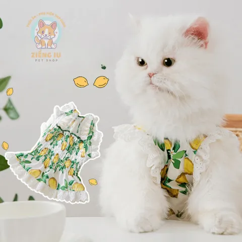 Váy Chanh Vàng cho thú cưng (Tặng kẹp nơ) - Áo, váy cho chó mèo, thú cưng - Ziềng iu Petshop
