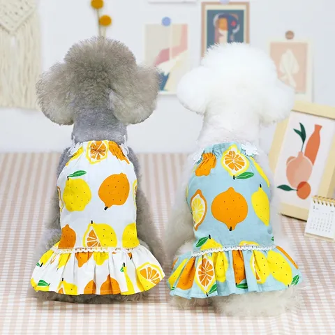 Váy Chanh chảnh (Tặng kẹp nơ) cho thú cưng - Áo, váy cho chó mèo, thú cưng - Ziềng iu Petshop