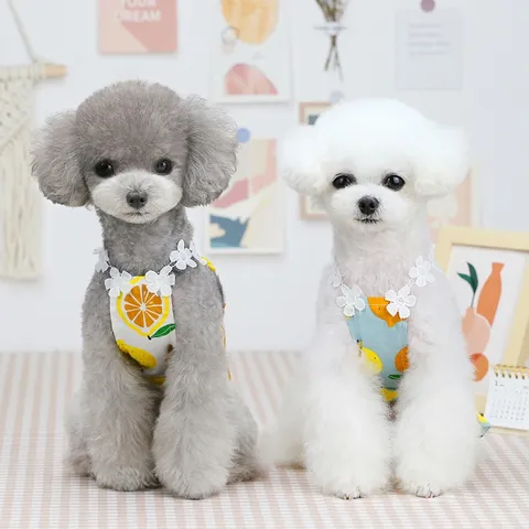 Váy Chanh chảnh (Tặng kẹp nơ) cho thú cưng - Áo, váy cho chó mèo, thú cưng - Ziềng iu Petshop