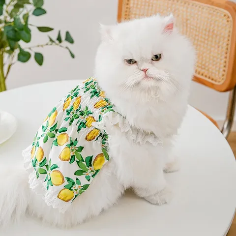 Váy Chanh Vàng cho thú cưng (Tặng kẹp nơ) - Áo, váy cho chó mèo, thú cưng - Ziềng iu Petshop