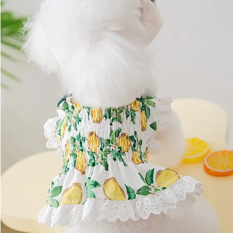 Váy Chanh Vàng cho thú cưng (Tặng kẹp nơ) - Áo, váy cho chó mèo, thú cưng - Ziềng iu Petshop