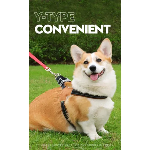 (CÓ SIZE LỚN) Dây dắt STRONGE phản quang cao cấp da lộn - Dây dắt cho chó mèo, thú cưng - Ziềng iu Petshop