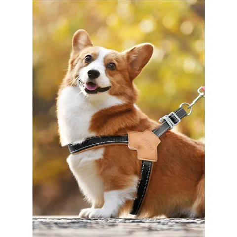 (CÓ SIZE LỚN) Dây dắt STRONGE phản quang cao cấp da lộn - Dây dắt cho chó mèo, thú cưng - Ziềng iu Petshop
