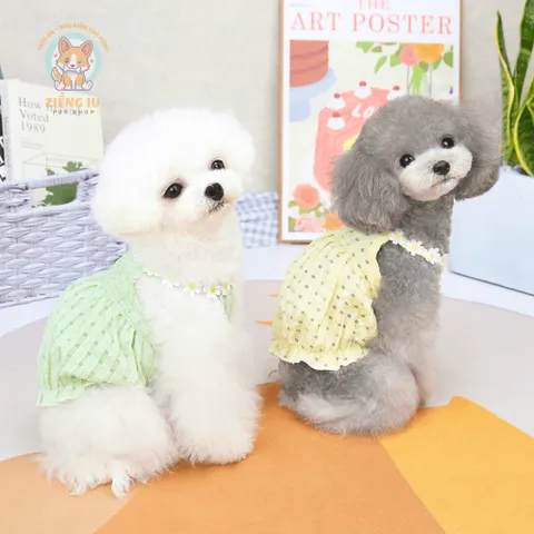 Váy Hoa Cúc (Tặng kẹp nơ) - Áo, váy cho chó mèo, thú cưng - Ziềng iu Petshop