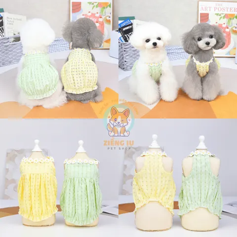 Váy Hoa Cúc (Tặng kẹp nơ) - Áo, váy cho chó mèo, thú cưng - Ziềng iu Petshop