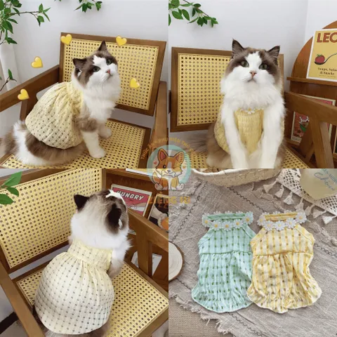 Váy Hoa Cúc (Tặng kẹp nơ) - Áo, váy cho chó mèo, thú cưng - Ziềng iu Petshop