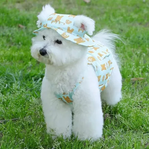 SET áo và mũ Hawaii - Áo, váy cho chó mèo, thú cưng - Ziềng iu Petshop