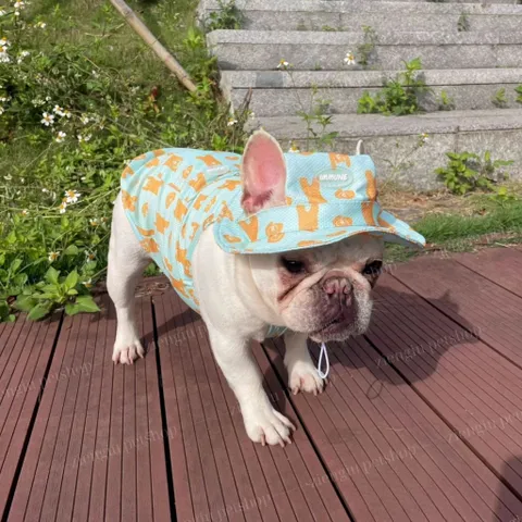 SET áo và mũ Hawaii - Áo, váy cho chó mèo, thú cưng - Ziềng iu Petshop