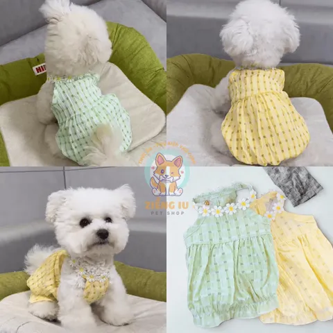 Váy Hoa Cúc (Tặng kẹp nơ) - Áo, váy cho chó mèo, thú cưng - Ziềng iu Petshop