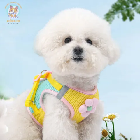 Dây dắt Yếm Hoa Xinh- Dây dắt cho chó mèo, dây dắt thú cưng - Ziềng iu Petshop