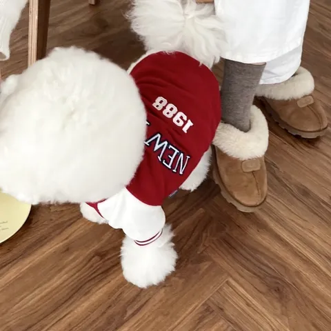 Áo Bóng Chày NewYork cho thú cưng - Áo, váy cho chó mèo, thú cưng - Ziềng iu Petshop