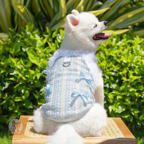 Váy ren lưới Thanh Lam & Hạ Vàng (Tặng kẹp nơ) - Áo, váy cho chó mèo, thú cưng - Ziềng iu Petshop