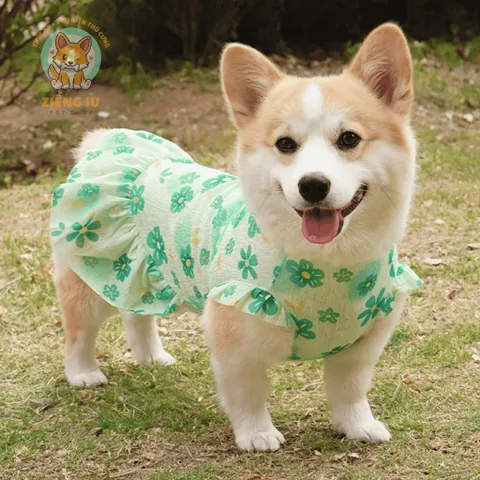 Váy Hoa Xinh (Có Size Lớn) cho thú cưng - Tặng kẹp nơ nhỏ - Áo, váy cho chó mèo, thú cưng - Ziềng iu Petshop