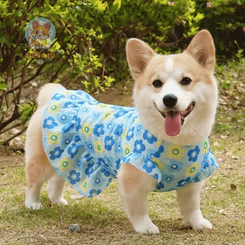 Váy Hoa Xinh (Có Size Lớn) cho thú cưng - Tặng kẹp nơ nhỏ - Áo, váy cho chó mèo, thú cưng - Ziềng iu Petshop