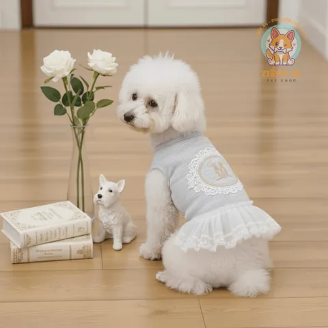Váy Mơ Mộng cotton ren (Tặng kẹp nơ) cho thú cưng - Áo, váy cho chó mèo, thú cưng - Ziềng iu Petshop