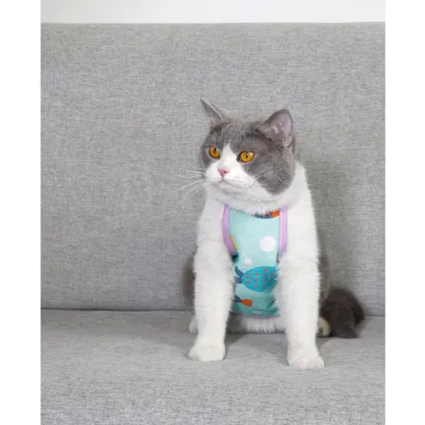 Tạp dề - Yếm bụng dễ thương cho Pet - Áo cho chó mèo, thú cưng - Ziềng iu Petshop