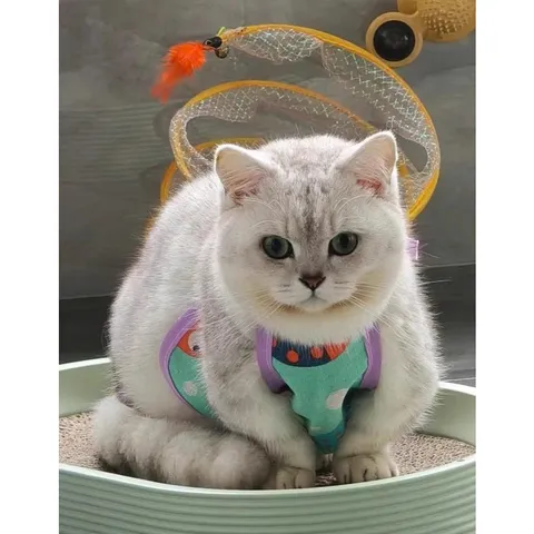 Tạp dề - Yếm bụng dễ thương cho Pet - Áo cho chó mèo, thú cưng - Ziềng iu Petshop