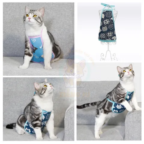 Tạp dề - Yếm bụng dễ thương cho Pet - Áo cho chó mèo, thú cưng - Ziềng iu Petshop