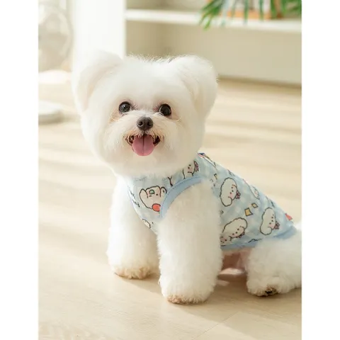(CÓ SIZE LỚN) Áo thun hè Lovely Blue - Áo, váy cho chó mèo, thú cưng - Ziềng iu Petshop