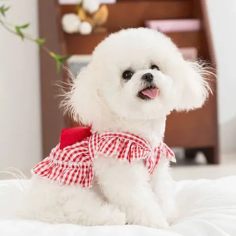 Váy công chúa Scotland nơ đỏ (Tặng kẹp nơ) cho thú cưng - Áo, váy cho chó mèo, thú cưng - Ziềng iu Petshop