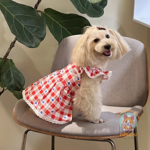 Váy Công Chúa Sweetie (Tặng kẹp nơ) - Áo, váy cho chó mèo, thú cưng - Ziềng iu Petshop