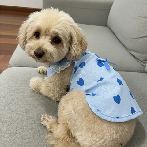 Váy 2 dây tim xanh (Tặng kẹp nơ) - Áo, váy cho chó mèo, thú cưng - Ziềng iu Petshop