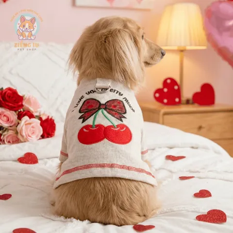 Áo Love You Cherry Much (Tặng kẹp nơ) cho thú cưng - Áo, váy cho chó mèo, thú cưng - Ziềng iu Petshop