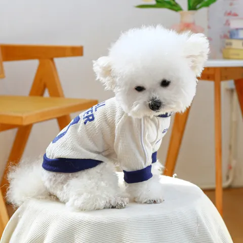 Áo Goal Hunter (Tặng kẹp nơ) - Áo, váy cho chó mèo, thú cưng - Ziềng iu Petshop