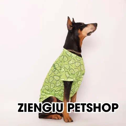 Áo Thun Thoáng Khí Size Lớn - Áo thun size to, size lớn - Áo cho chó mèo, thú cưng - Ziềng iu Petshop