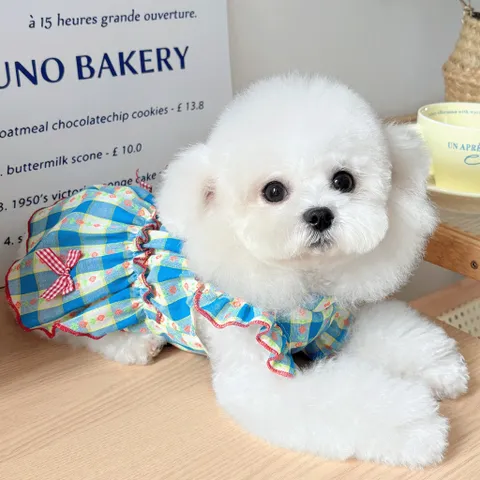 Váy Kẻ Blue Daisy (Tặng kẹp nơ) cho thú cưng - Áo, váy cho chó mèo, thú cưng - Ziềng iu Petshop