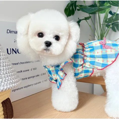 Váy Kẻ Blue Daisy (Tặng kẹp nơ) cho thú cưng - Áo, váy cho chó mèo, thú cưng - Ziềng iu Petshop