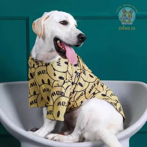 Áo Thun Thoáng Khí Size Lớn - Áo thun size to, size lớn - Áo cho chó mèo, thú cưng - Ziềng iu Petshop
