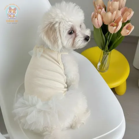 Váy Ba Lê Công Túa (Tặng kẹp nơ) cho thú cưng - Áo, váy cho chó mèo, thú cưng - Ziềng iu Petshop