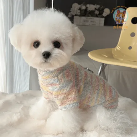 Áo Nỉ Len Lông Thỏ Rainbow (Tặng kẹp nơ) cho thú cưng - Áo, váy cho chó mèo, thú cưng - Ziềng iu Petshop