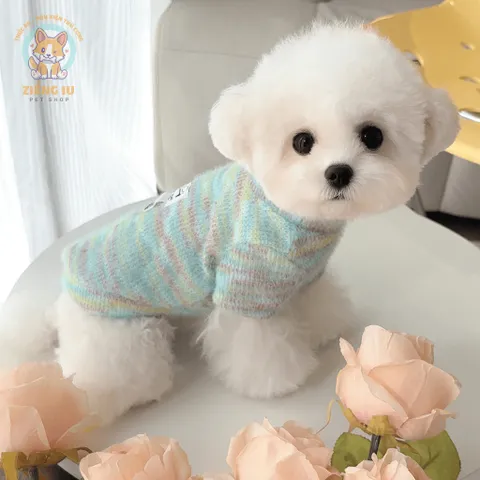 Áo Nỉ Len Lông Thỏ Rainbow (Tặng kẹp nơ) cho thú cưng - Áo, váy cho chó mèo, thú cưng - Ziềng iu Petshop