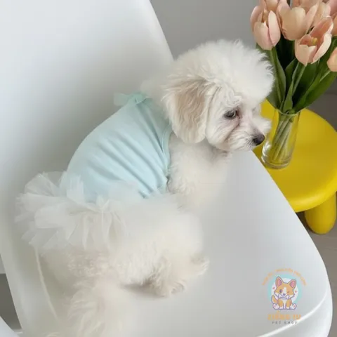 Váy Ba Lê Công Túa (Tặng kẹp nơ) cho thú cưng - Áo, váy cho chó mèo, thú cưng - Ziềng iu Petshop