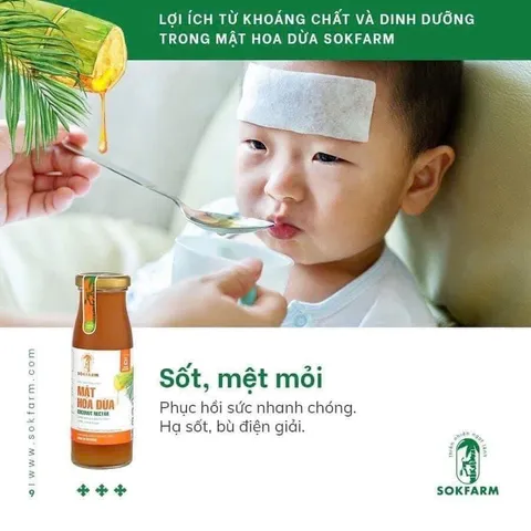 Mật hoa dừa cô đặc Sokfarm 250g - gia vị cho bé ăn dặm 250g