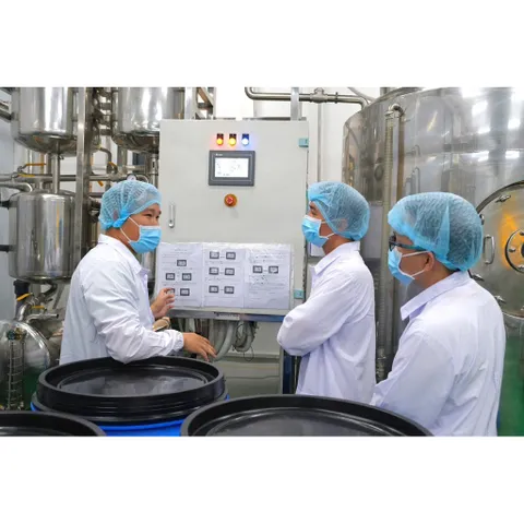 Mua 2 tặng 1 - Combo 2 nước tương mật hoa dừa Sokfarm 500ml tặng 1 mật hoa dừa cô đặc 250g