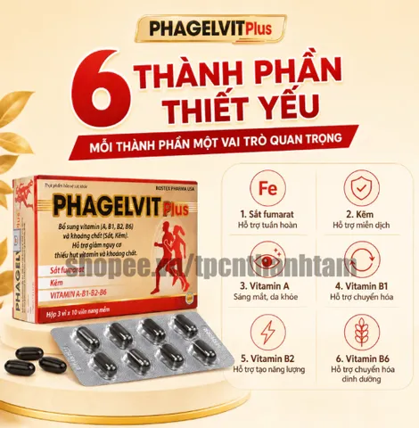Vitamin tổng hợp PHAGELVIT PLUS bồi bổ cơ thể, tăng cường sức đề kháng - Hộp 30 viên