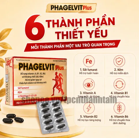 Vitamin tổng hợp PHAGELVIT PLUS bồi bổ cơ thể, tăng cường sức đề kháng - Hộp 30 viên